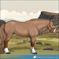 Horse Color:Red Dun