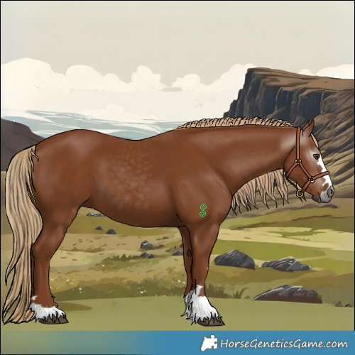 Horse Color:Gray Chestnut 