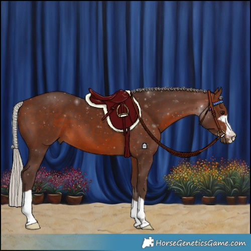 Horse Color:Silver Brown
