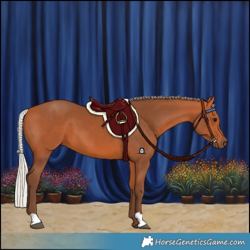 Horse Color:Silver Bay 