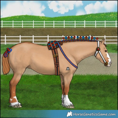 Horse Color:Red Dun