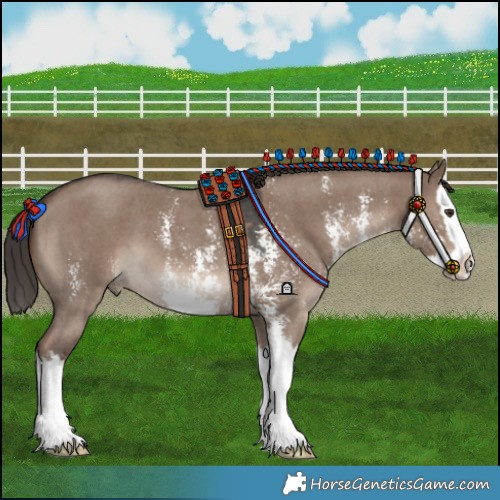 Horse Color:Liver Red Dun Sabino Splash