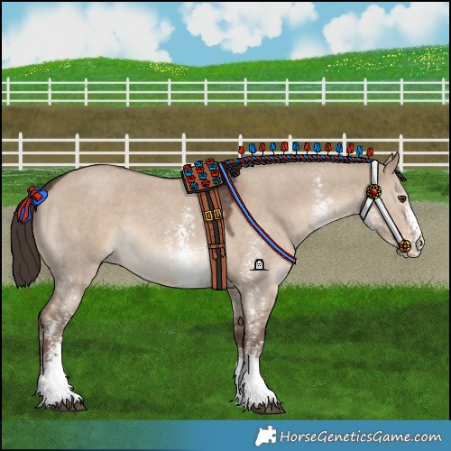 Horse Color:Liver Red Dun Sabino 