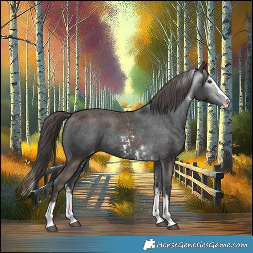 Horse Color:Liver Chestnut Sabino Splash Varnish and Gray Liver Chestnut Sabino Splash Varnish