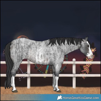 Horse Color:Brown Roan Sabino Splash Varnish  and Brown Roan Sabino Splash Varnish 