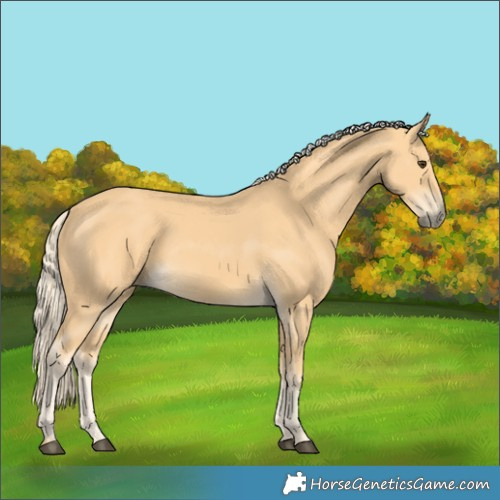 Horse Color:Palomino