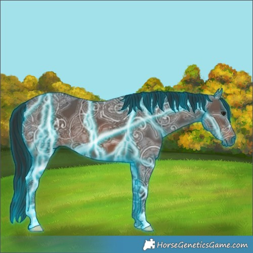 Horse Color:Gray Thunderstruck Bay Ice