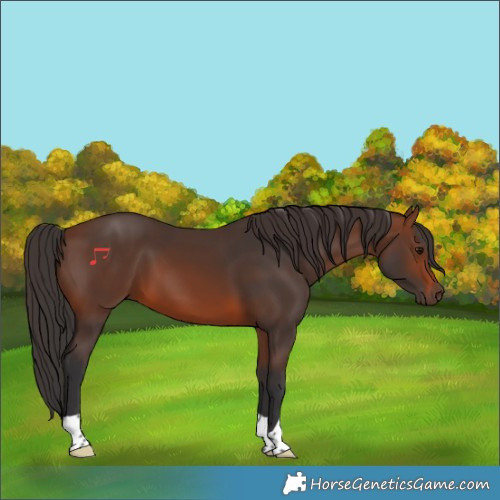 Horse Color:Brown 