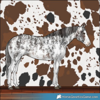 Horse Color:Liver Chestnut Sabino Splash Varnish  and Brown Sabino Splash Varnish 