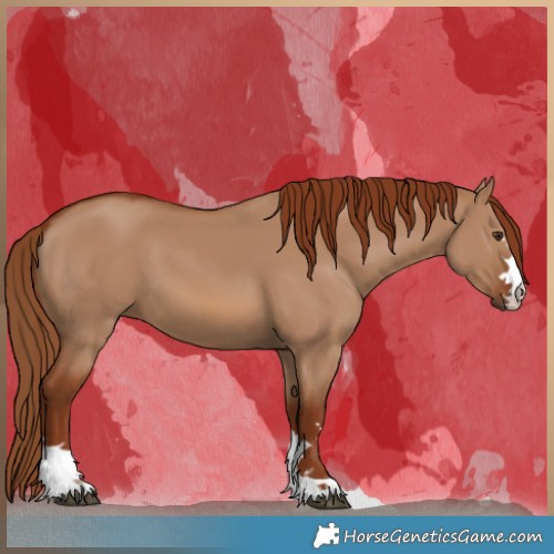 Horse Color:Red Dun 