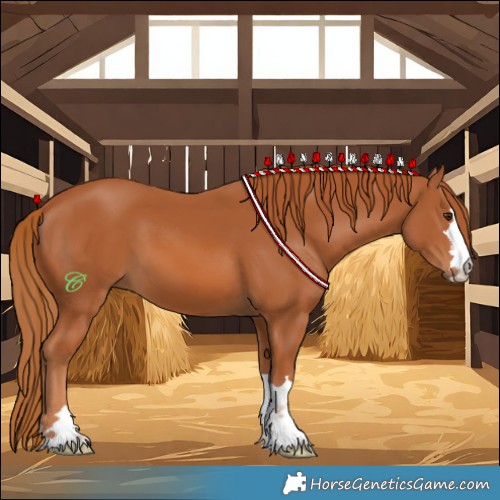 Horse Color:Chestnut 