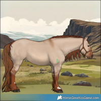 Horse Color:Red Dun