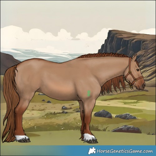 Horse Color:Red Dun