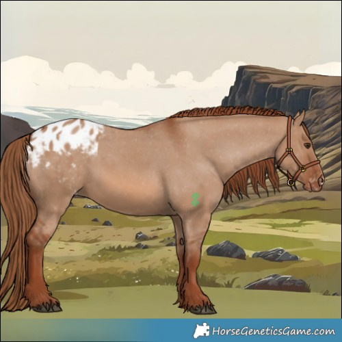 Horse Color:Red Dun Blanket