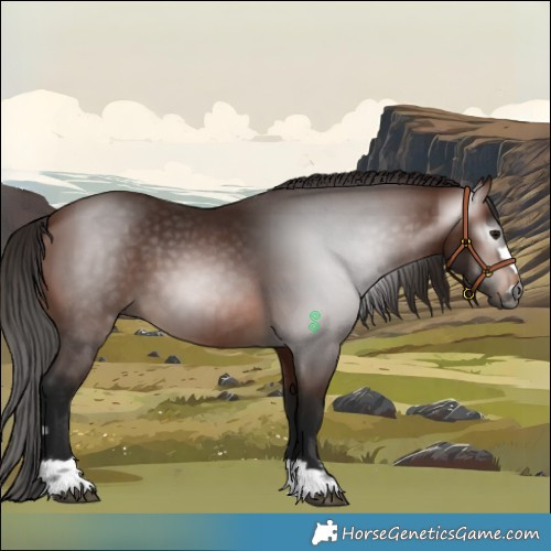 Horse Color:Gray Bay