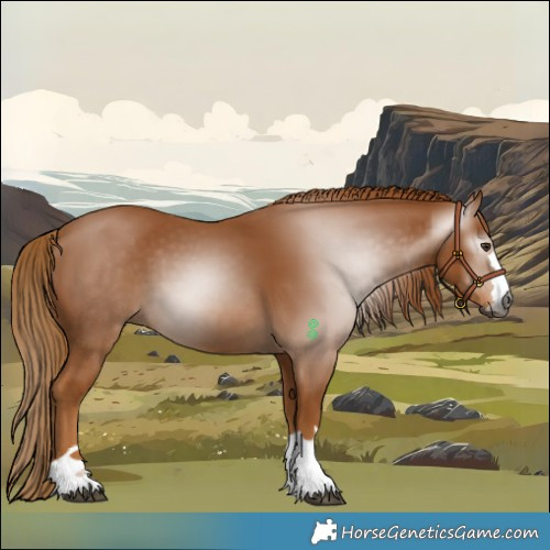 Horse Color:Gray Chestnut 