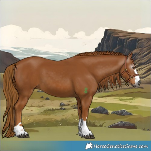Horse Color:Gray Chestnut 