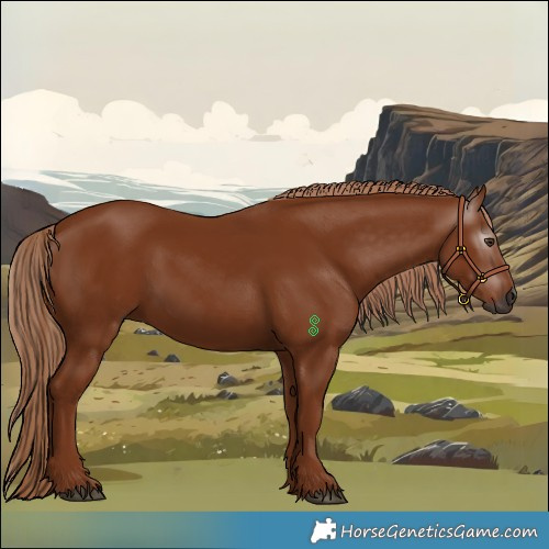 Horse Color:Gray Chestnut 