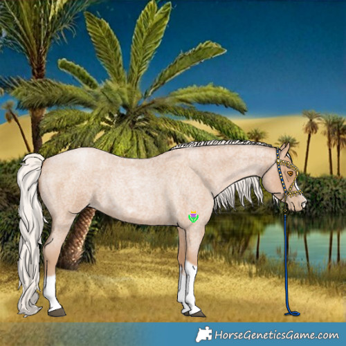 Horse Color:Silver Blue Roan Pearl Tobiano Frame