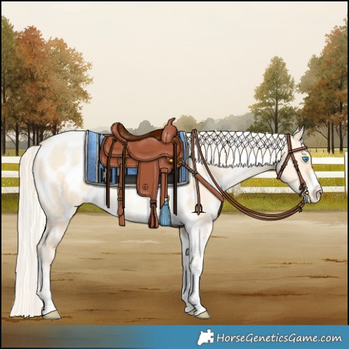Horse Color:Silver Buckskin Pearl Dun Tobiano Frame Near Leopard Rabicano 