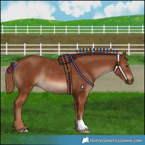 Horse Color:Chestnut Rabicano 