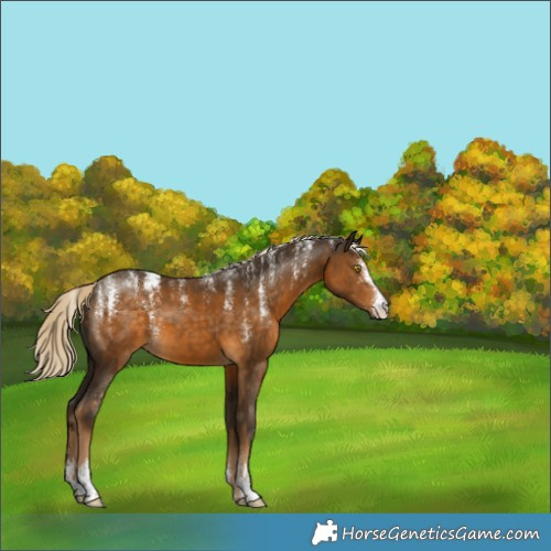 Horse Color:Powder White Chocolate Palomino Mushroom 