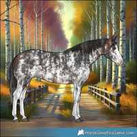 Horse Color:Liver Chestnut Sabino Splash Varnish  and Bay Sabino Splash Varnish 