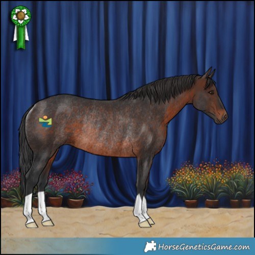 Horse Color:Brown Rabicano 