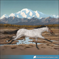Horse Color:Brown Roan Dun 