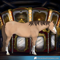 Horse Color:Amber Champagne