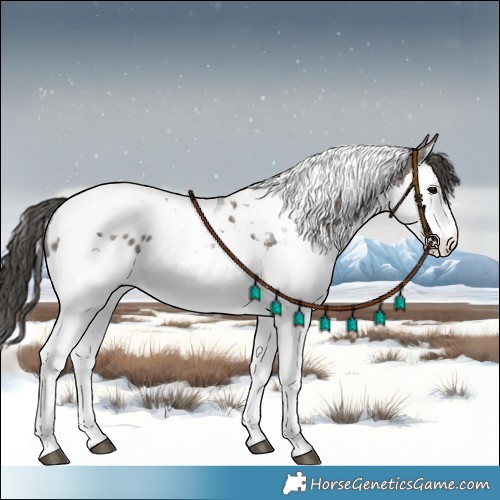 Horse Color:Grullo Splash Tobiano Blanket 