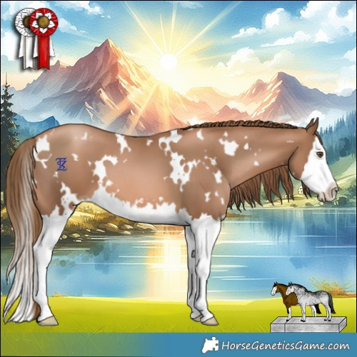 Horse Color:White Spotted Liver Chestnut Pearl Splash 
