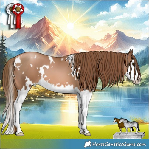 Horse Color:White Spotted Liver Chestnut Pearl Splash 