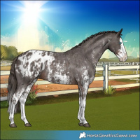 Horse Color:Liver Chestnut Sabino Splash Blanket  and Liver Chestnut Sabino Splash Blanket 
