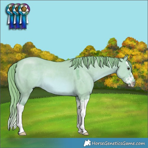 Horse Color:Watercolor Red Dun Splash 