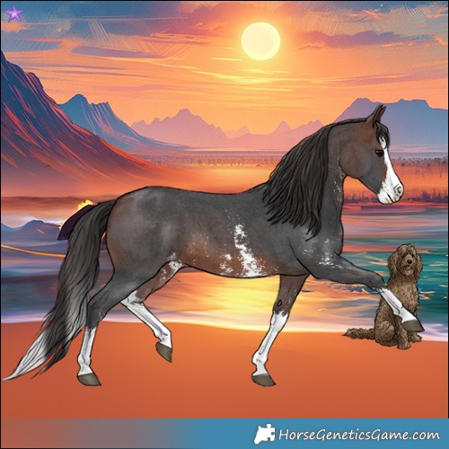 Horse Color:Brown Sabino Splash Varnish and Brown Sabino Splash Varnish