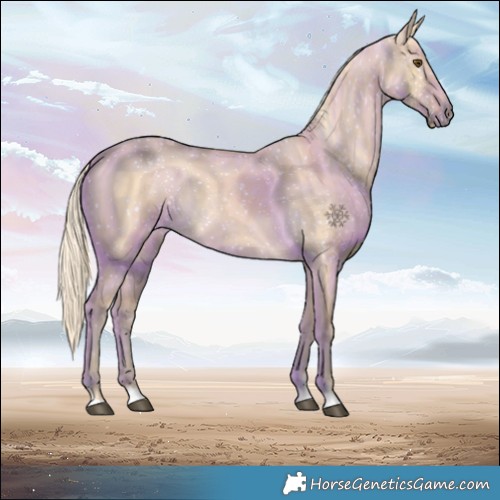 Horse Color:Palomino Dun 