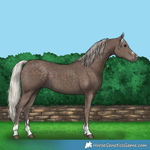 Horse Color:Silver Black 