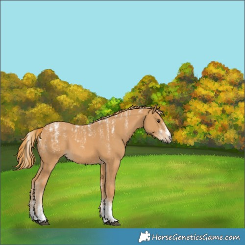 Horse Color:Powder White Chestnut