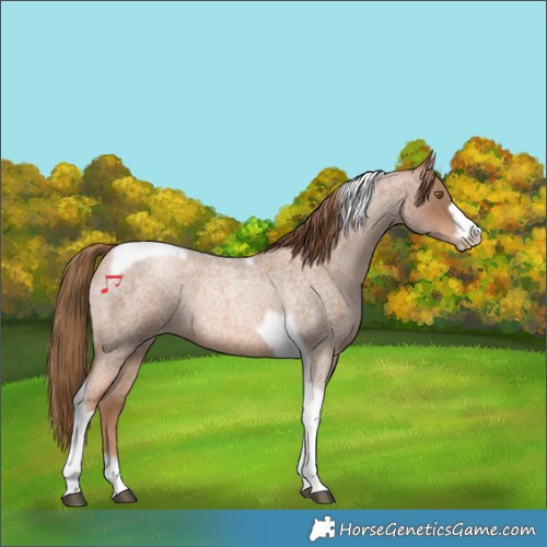 Horse Color:Liver Red Roan Pearl Tobiano Frame 
