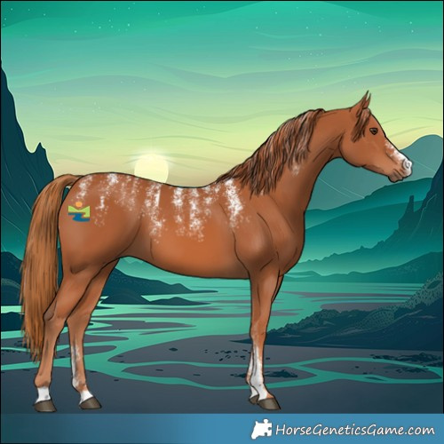 Horse Color:Powder White Chestnut