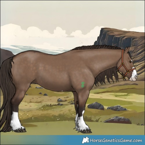 Horse Color:Liver Red Dun