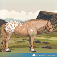Horse Color:Chestnut Blanket