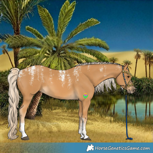 Horse Color:Powder White Palomino