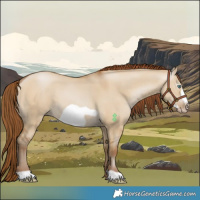 Horse Color:Gray Smoky Grullo Pearl Frame 