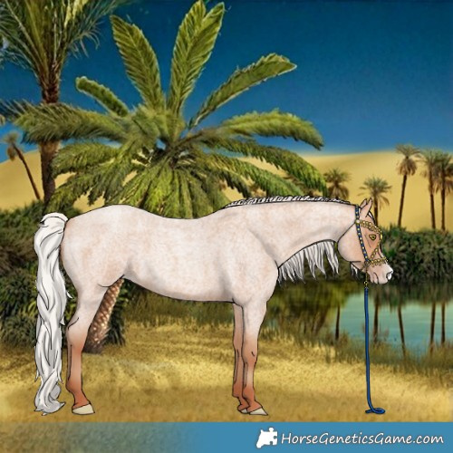 Horse Color:Silver Amber Champagne Roan Frame