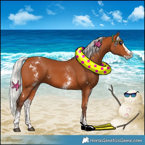 Horse Color:White Spotted Silver Bay Splash 
