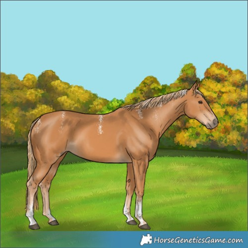 Horse Color:Powder White Chestnut 