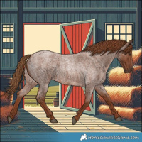 Horse Color:Red Roan