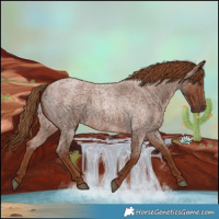 Horse Color:Red Roan 